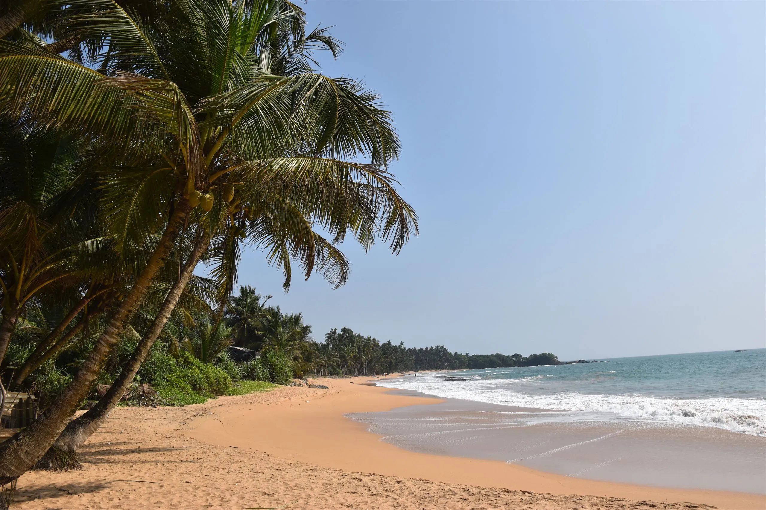 An empty palm-fringed beach on Sri Lanka's west coast