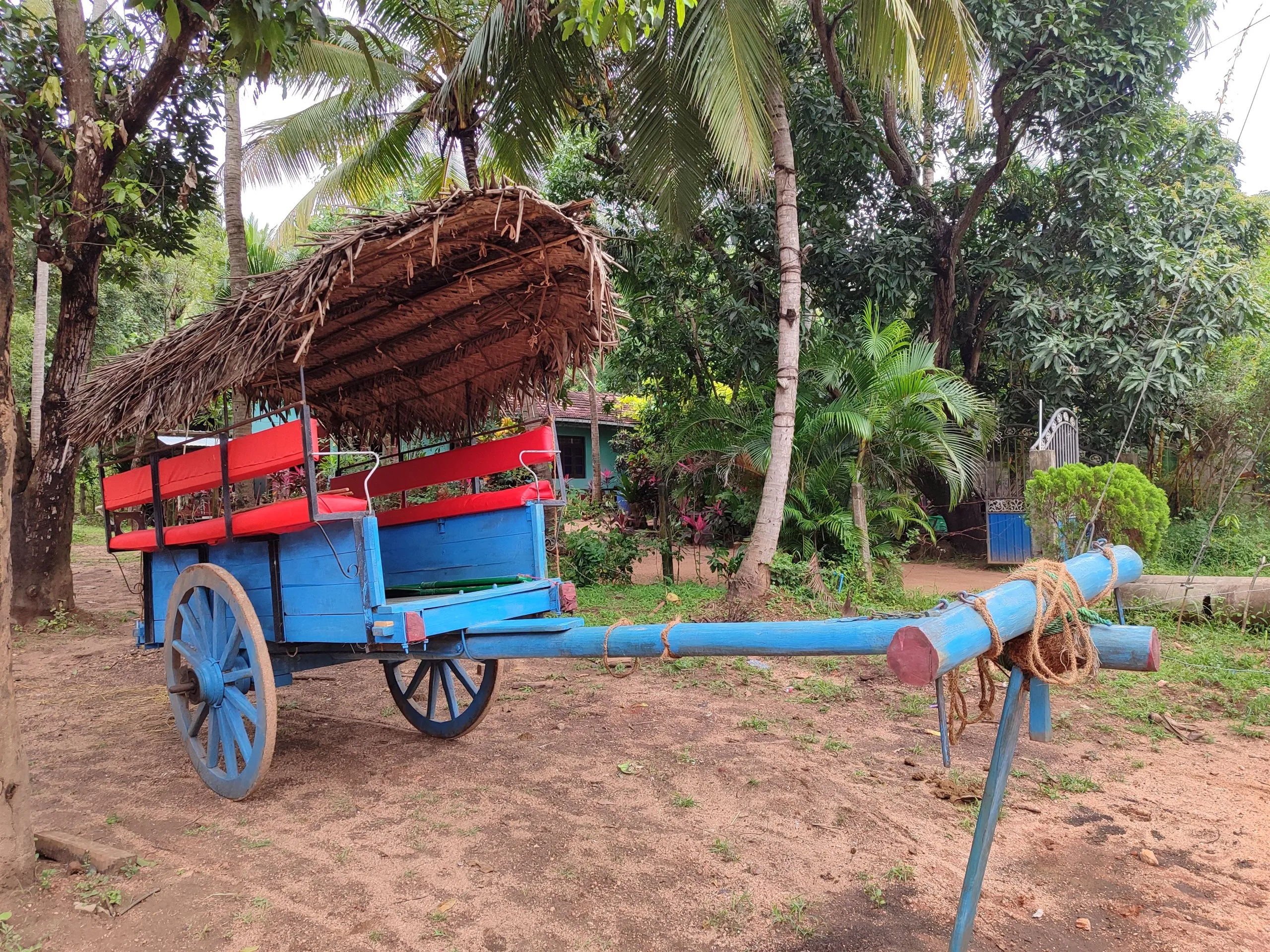A blue and red bullock cart parked under the palms