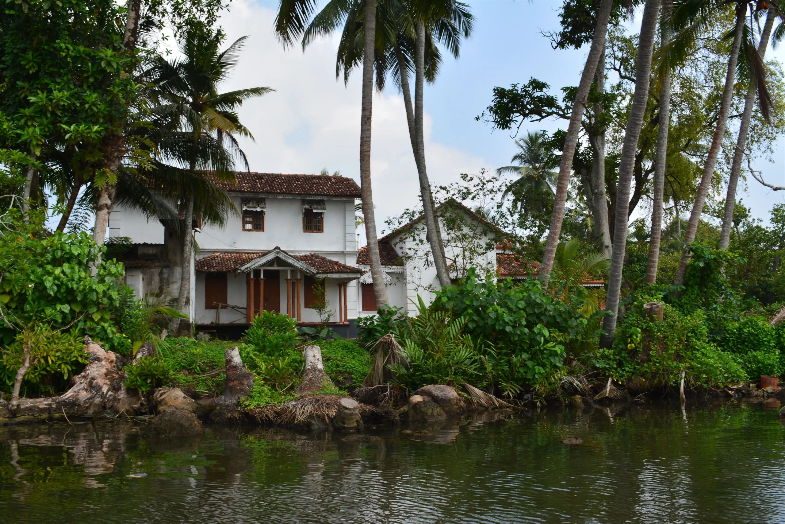 A white house on the riverbank among coconut palms