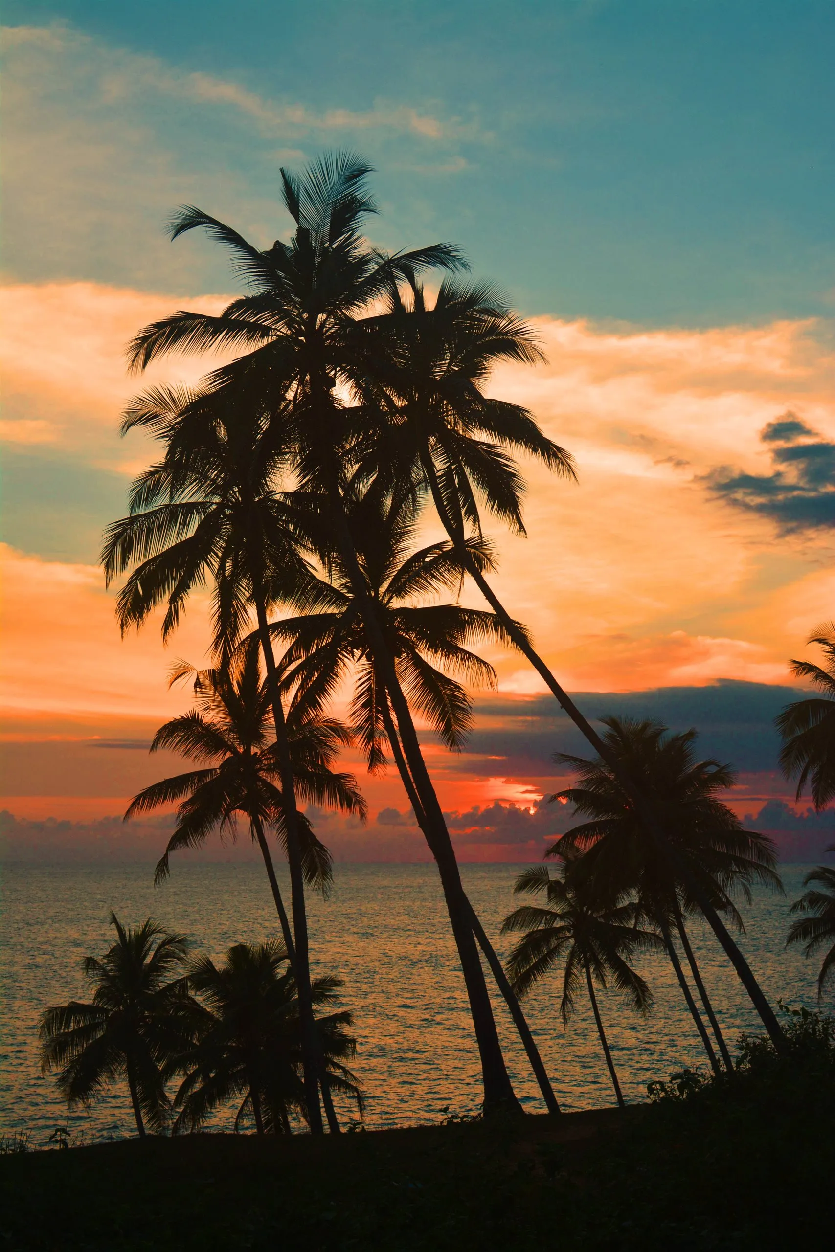 Sunset behind palm silhouettes over the surf