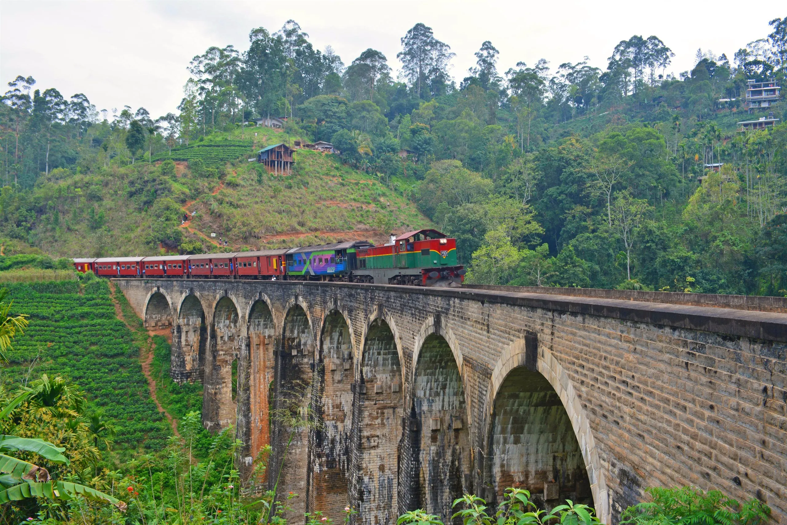 A train crossing the Nine Arch Bridge in the jungle near Ella