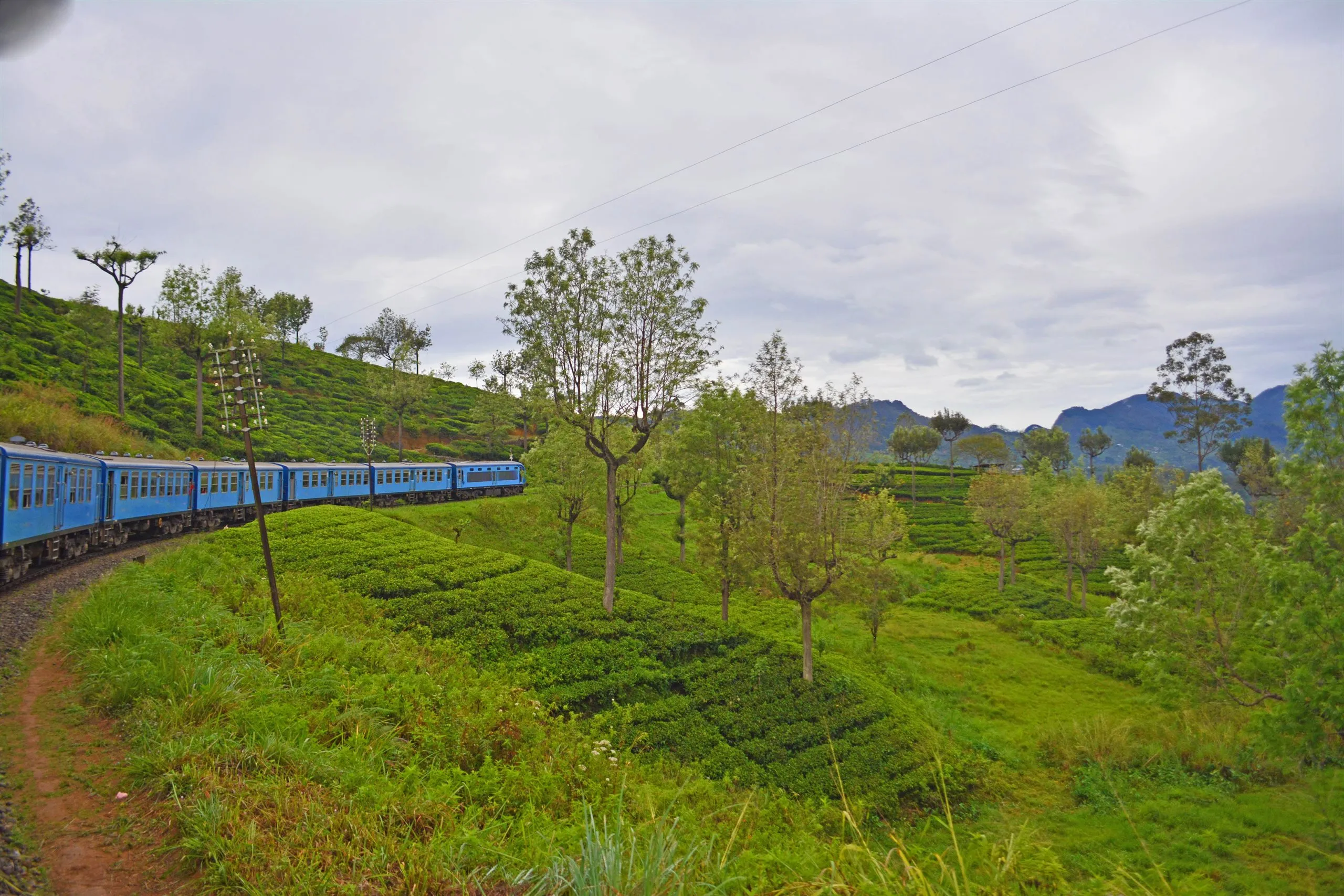 The blue hill-country train curving through tea plantations