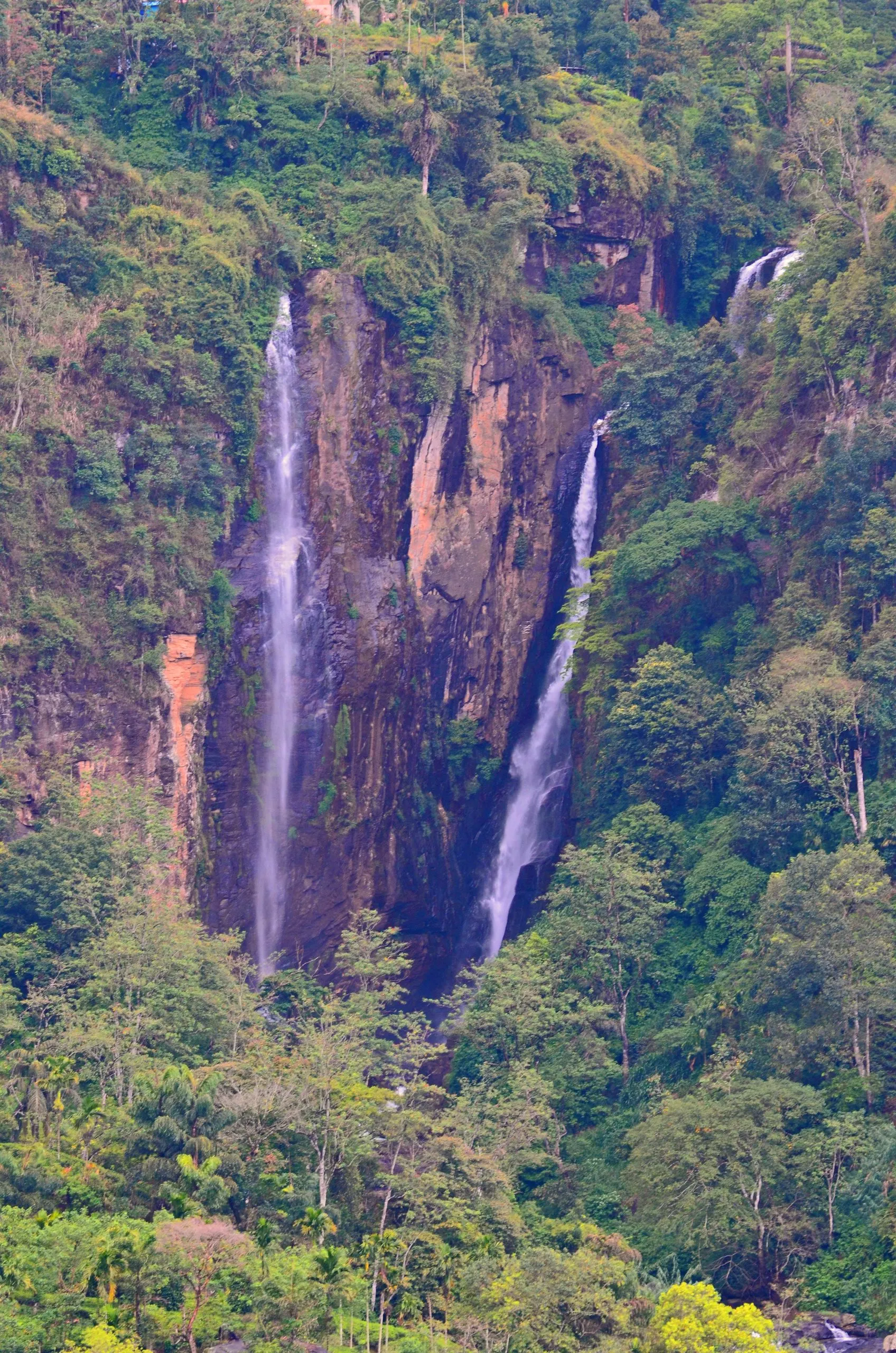 Two thin ribbons of Ramboda Falls in the forest