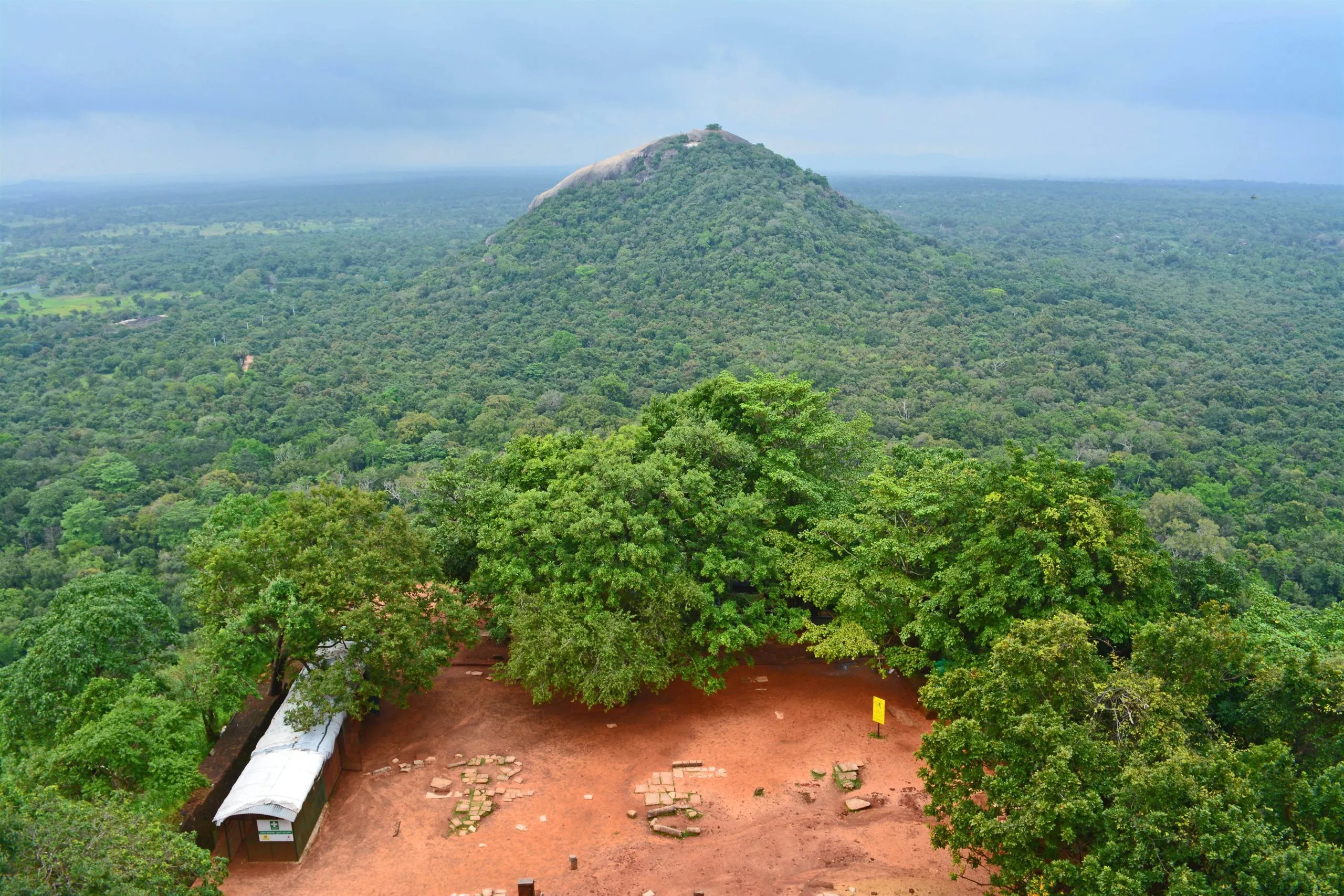 Jungle stretching to the horizon, seen from the top of Sigiriya
