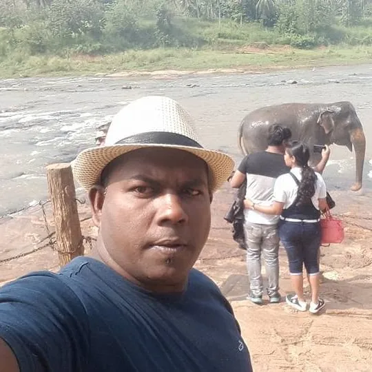 Dhanushka at Pinnawala, with guests watching an elephant in the river