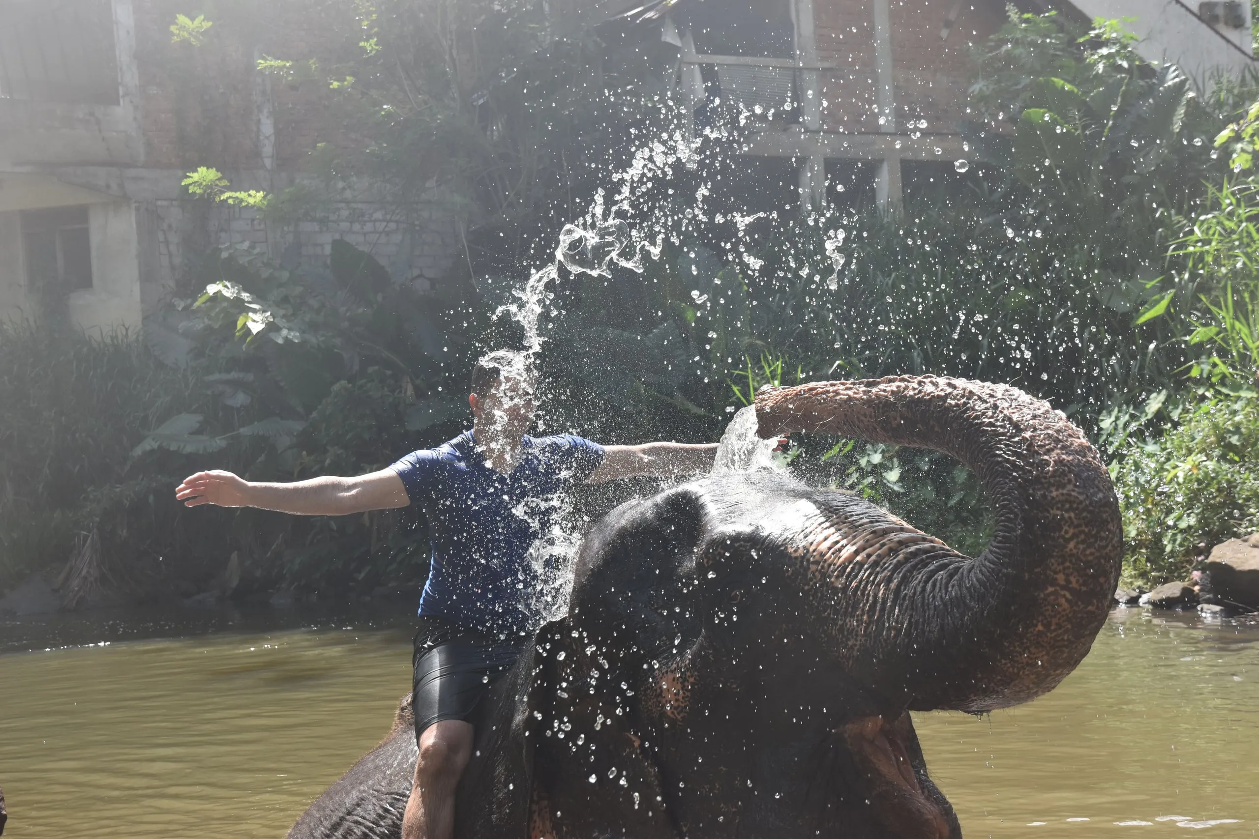 A guest sitting on an elephant in the river, arms out, as it showers him with water